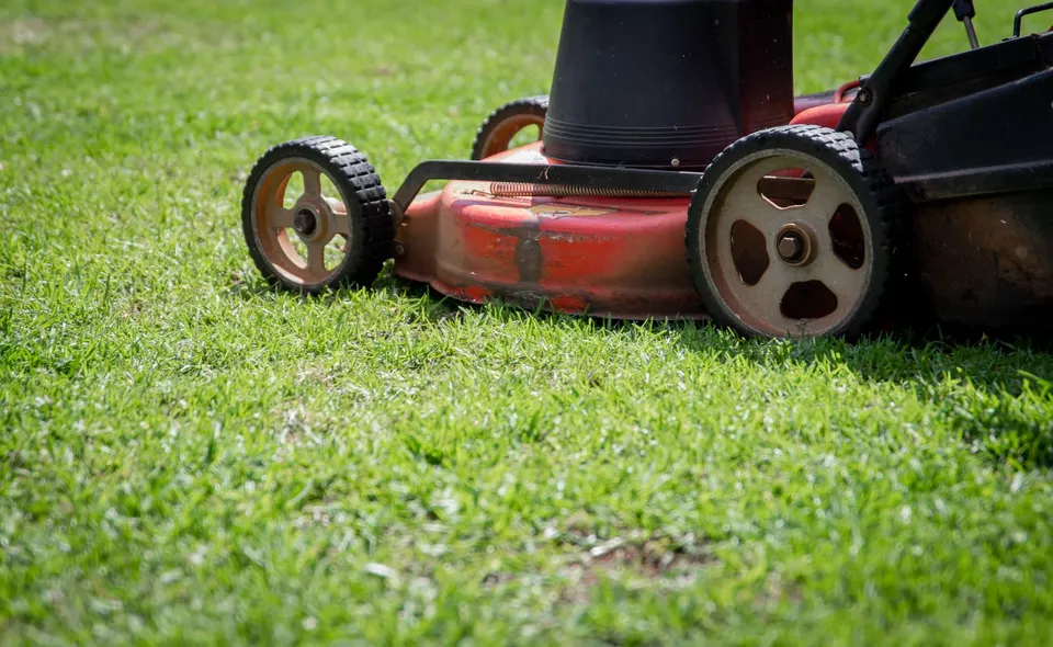 Close view of a red push mower's deck and wheels riding low over green grass