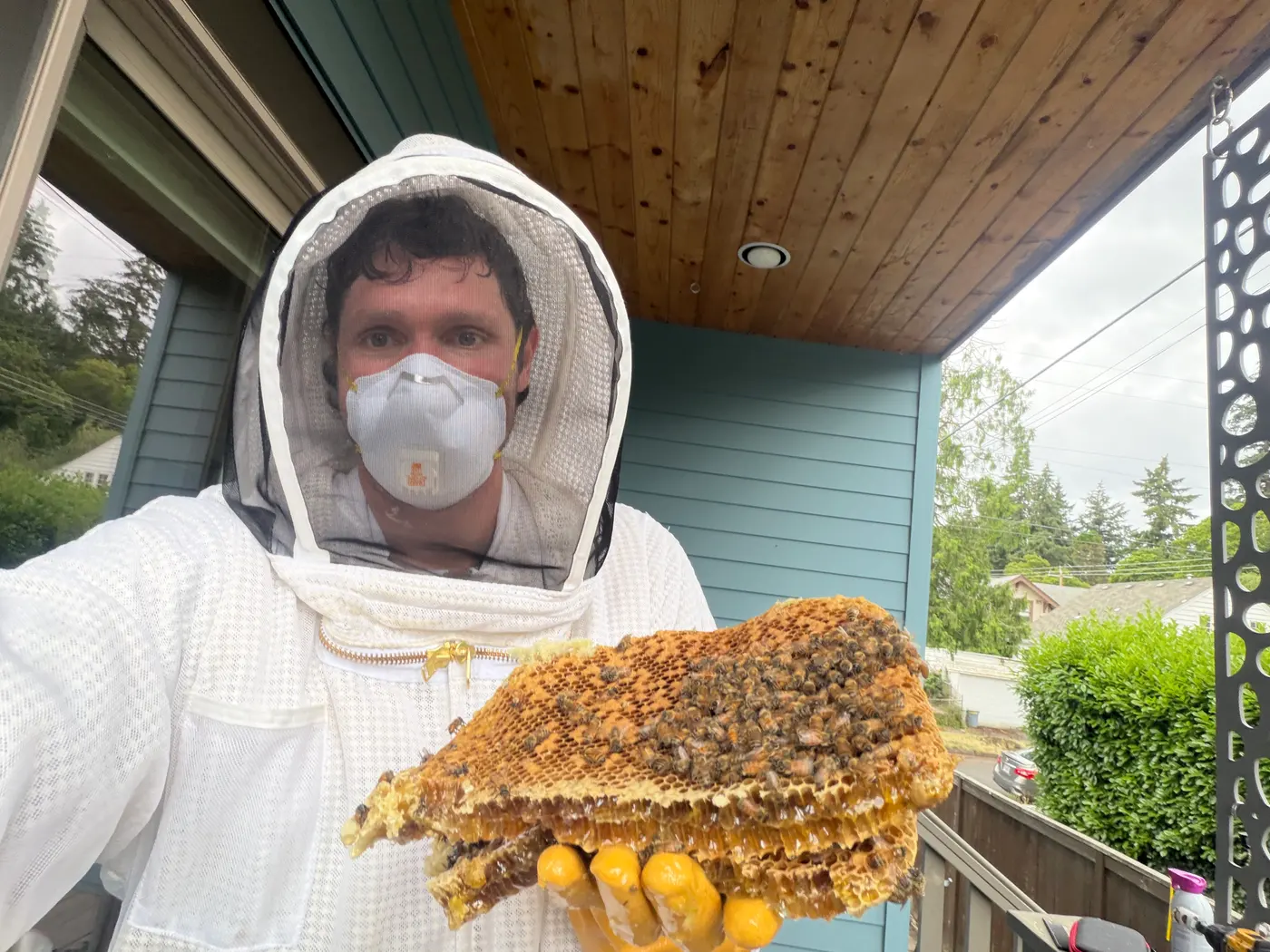Sam in a white bee suit and veil holding a honeycomb slab covered in live honeybees during a cutout
