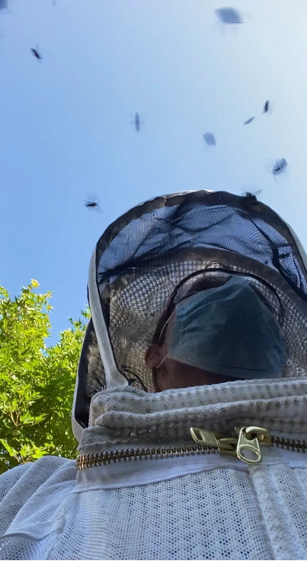 Sam in a white protective bee suit and mesh veil with insects flying overhead against blue sky