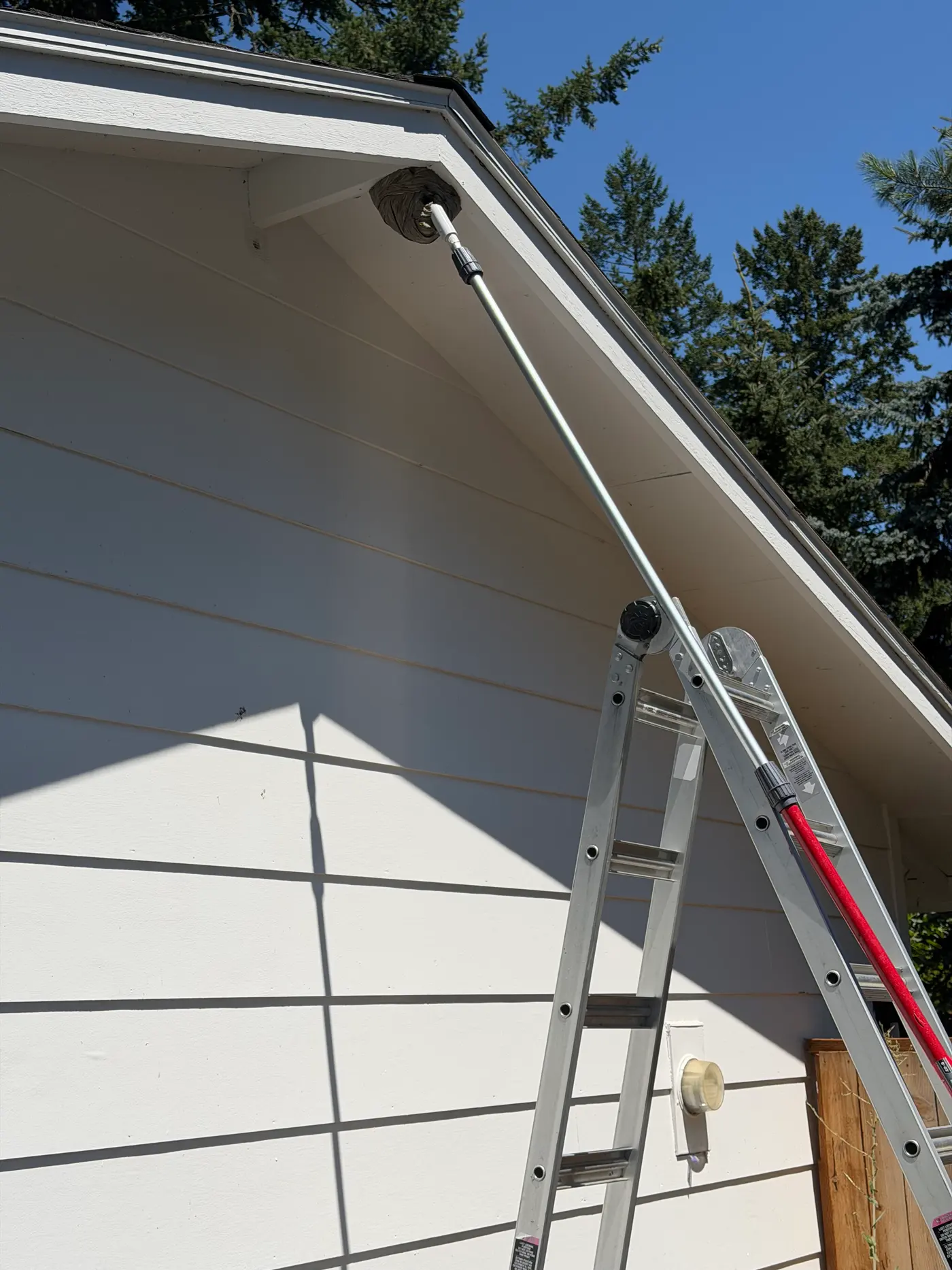 Extension pole reaching a gray paper wasp nest tucked under the eave of a white house