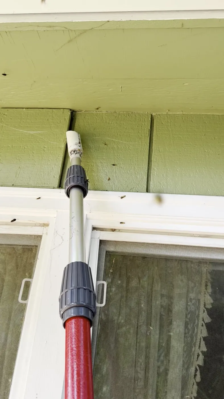 Yellow jackets crawling on white window trim and green siding around a horizontal seam that is the nest entry, with a dust applicator tip held to the gap
